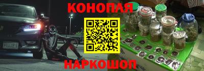 стаф Будённовск