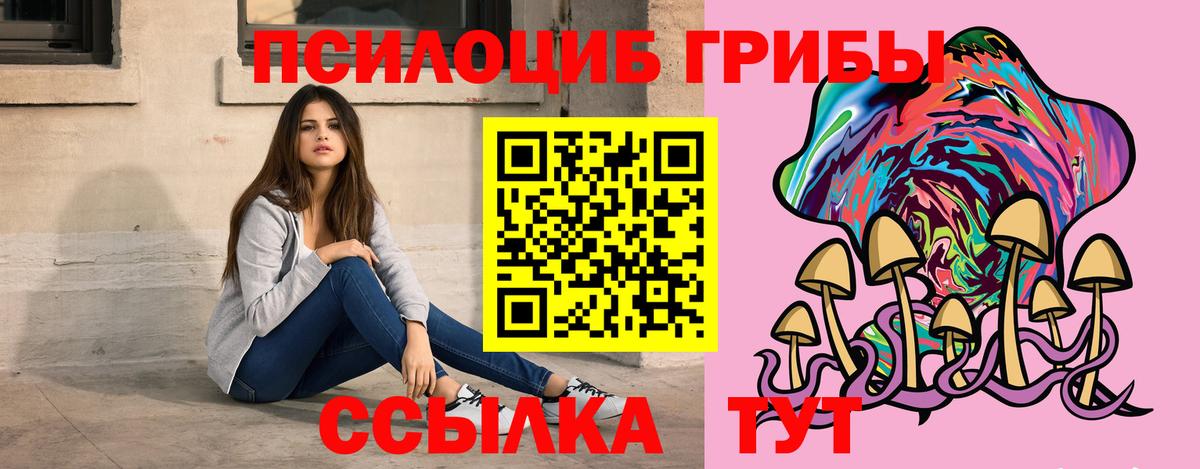 Балашов  купить  сайты  Вход с VPN  Псилоцибиновые грибы GOLDEN TEACHER 