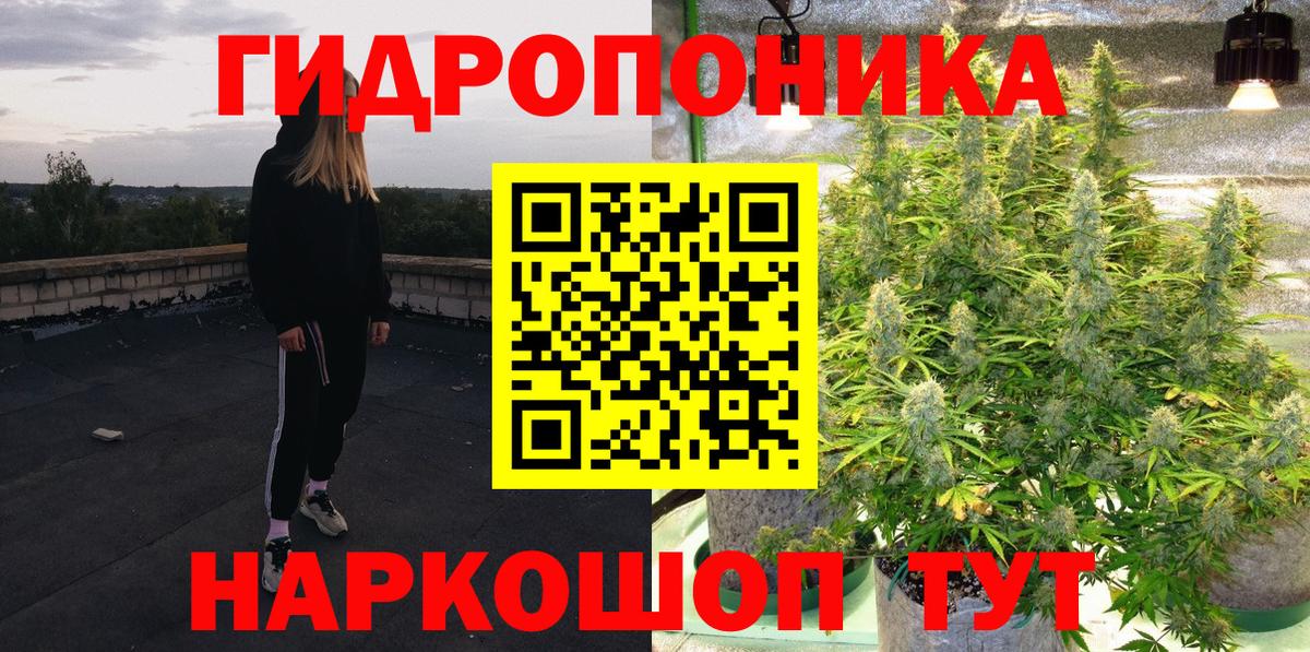Конопля сатива Балашов